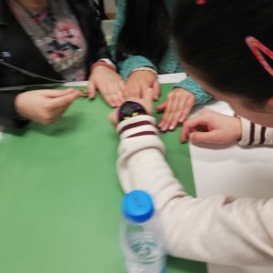 vsvrvers